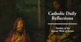 Homily