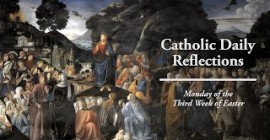 Homily