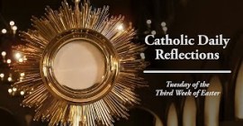 Homily