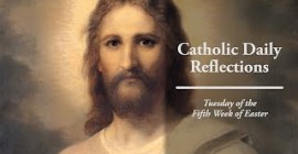 Homily