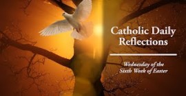 Homily