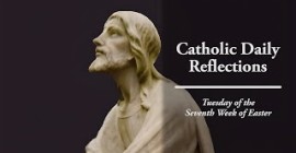 Homily