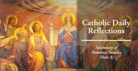 Homily