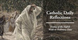 Homily